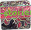 Épine-vinette de Thunberg, épine-vinette à feuilles persistantes - variétés et culture de l'épine-vinette