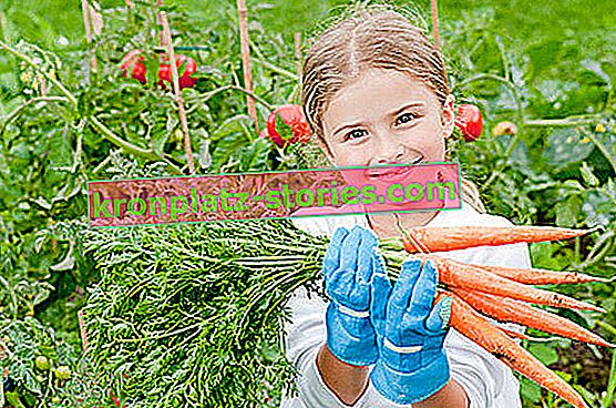 protezione delle verdure da malattie e parassiti
