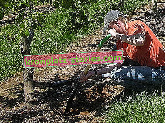 Подготовка на почвата за овощната градина