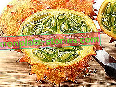 kiwano - concombre barbelé