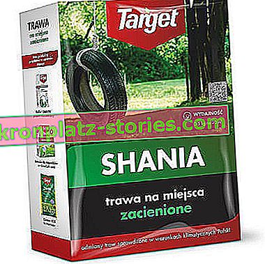 herbe pour l'ombre Shania