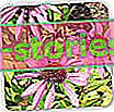 Echinacea purpurea - pěstování, aplikace, vlastnosti