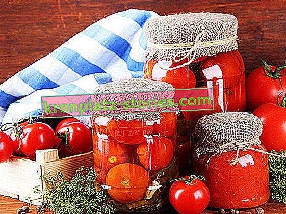 Tomatenkonserven für den Winter