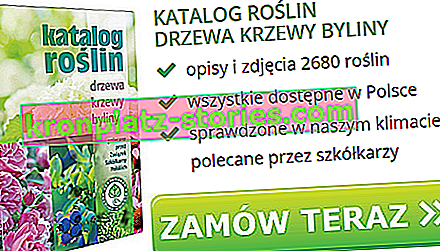 Ein von der polnischen Baumschulvereinigung empfohlener Pflanzenkatalog