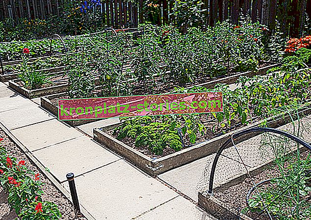 Grădină de legume în lăzi