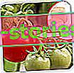 Spruzzatura di lievito su pomodori e cetrioli