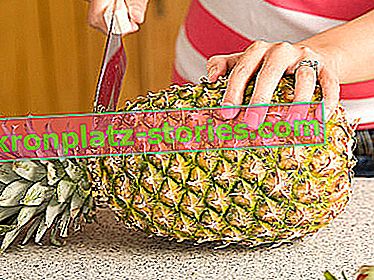 cum să crești ananas acasă