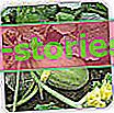 Melone - Eigenschaften, Sorten, Anbau in Polen, wie man isst