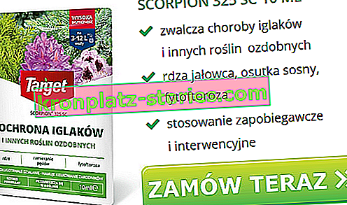 Skorpion 325 sc Krankheiten von Nadelbäumen