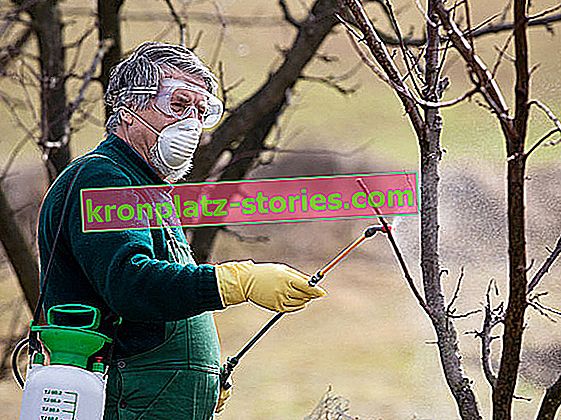 Pestizide - Sprühen von Obstbäumen