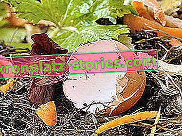 fertilizzante a guscio d'uovo