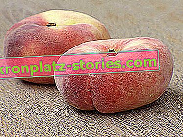 Peach flat fruit 'Saturn'