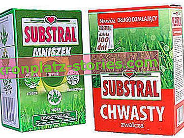 erbicidi per prato - Dniszek 540 SL e fertilizzante con erba