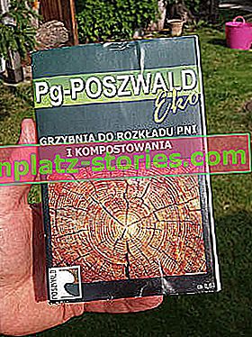 Mycélium de Pg-Poszwald Eko