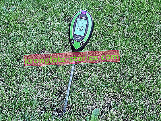 pHmetro del suolo