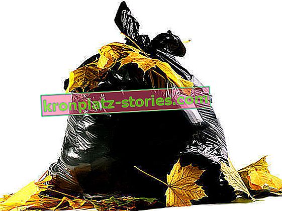 compostaggio in sacchetti di plastica
