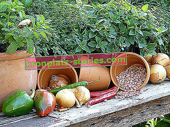 Естествени продукти за растителна защита, т.е.градина без химикали