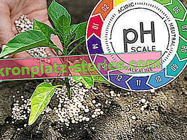 pH hnojiv