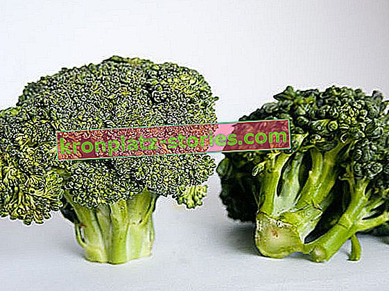 křupavá zelenina - brokolice