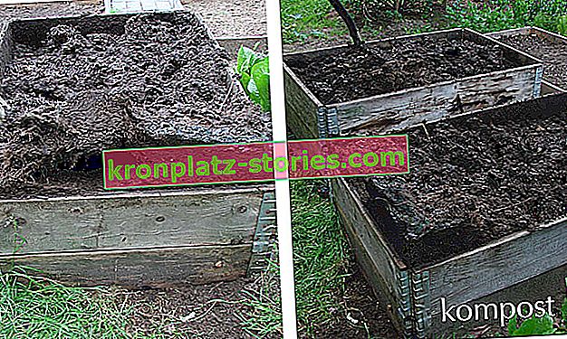 Kompost - kaj je to, kako ga narediti, uporaba